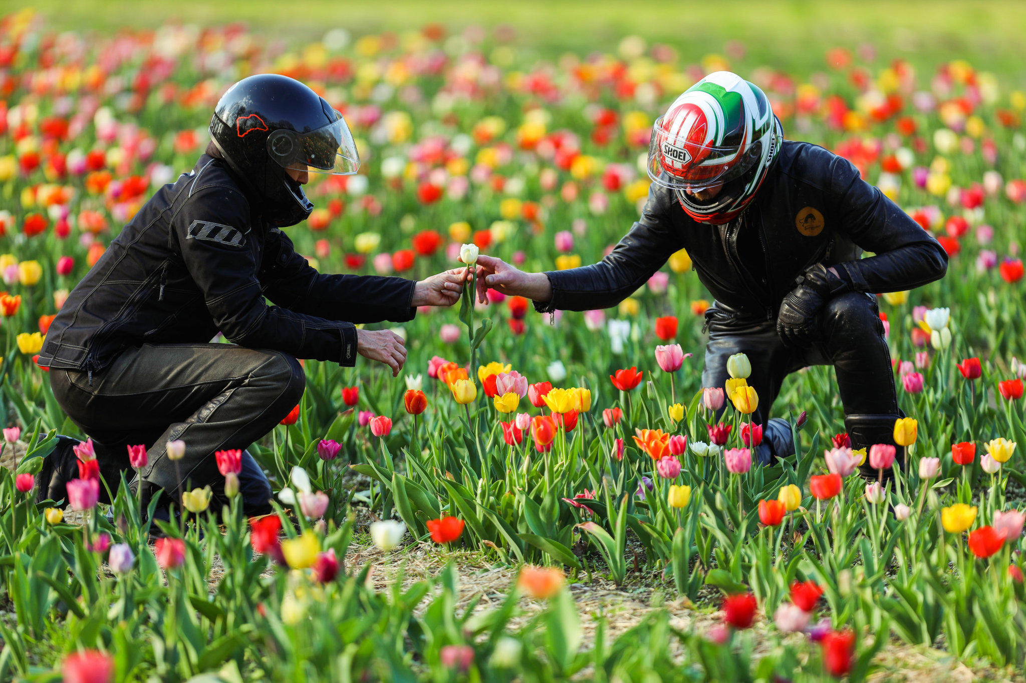 Wetterbilder des Tages Wetterbilder des Tages