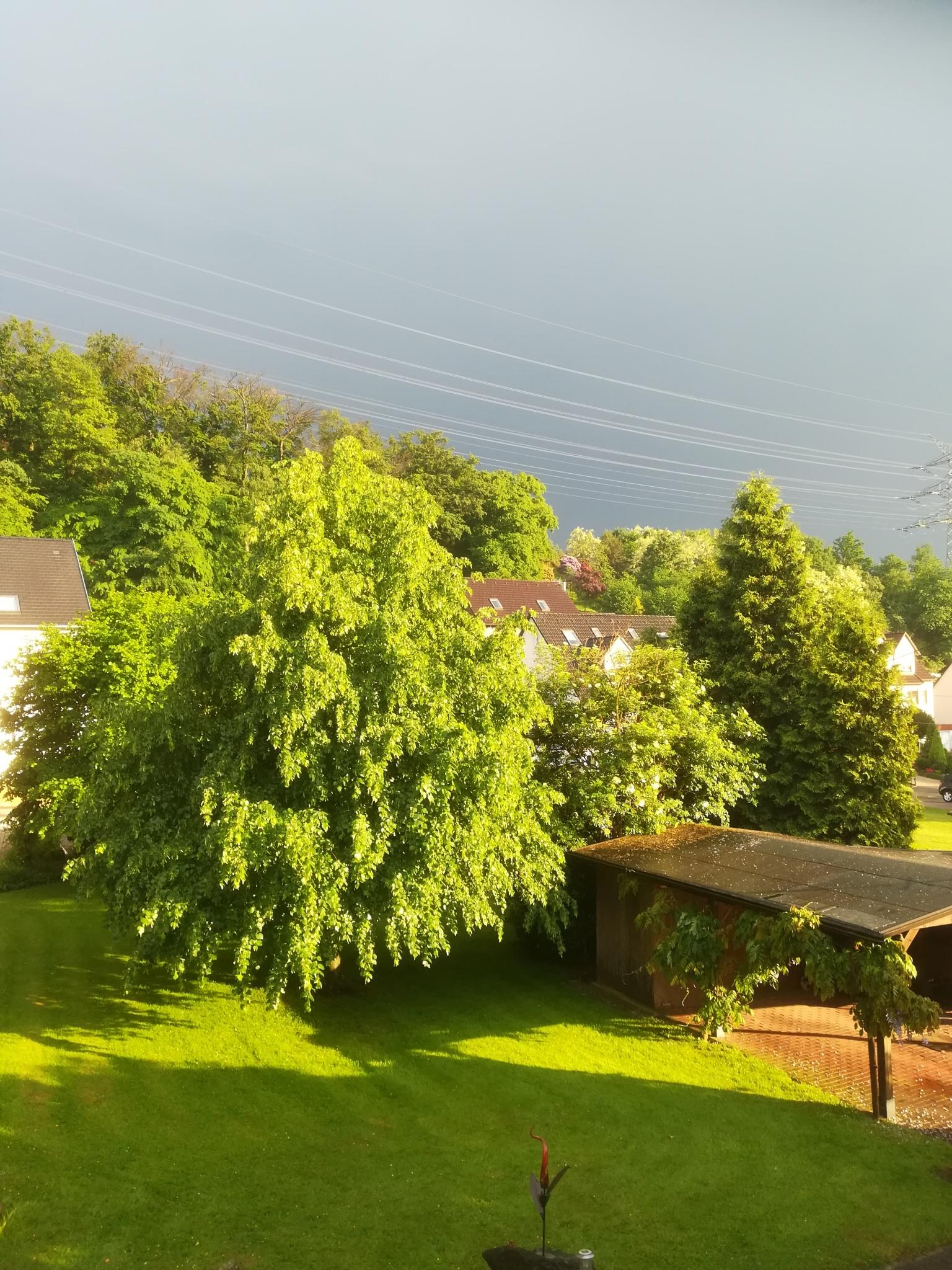 Wetterbilder des Tages Wetterbilder des Tages