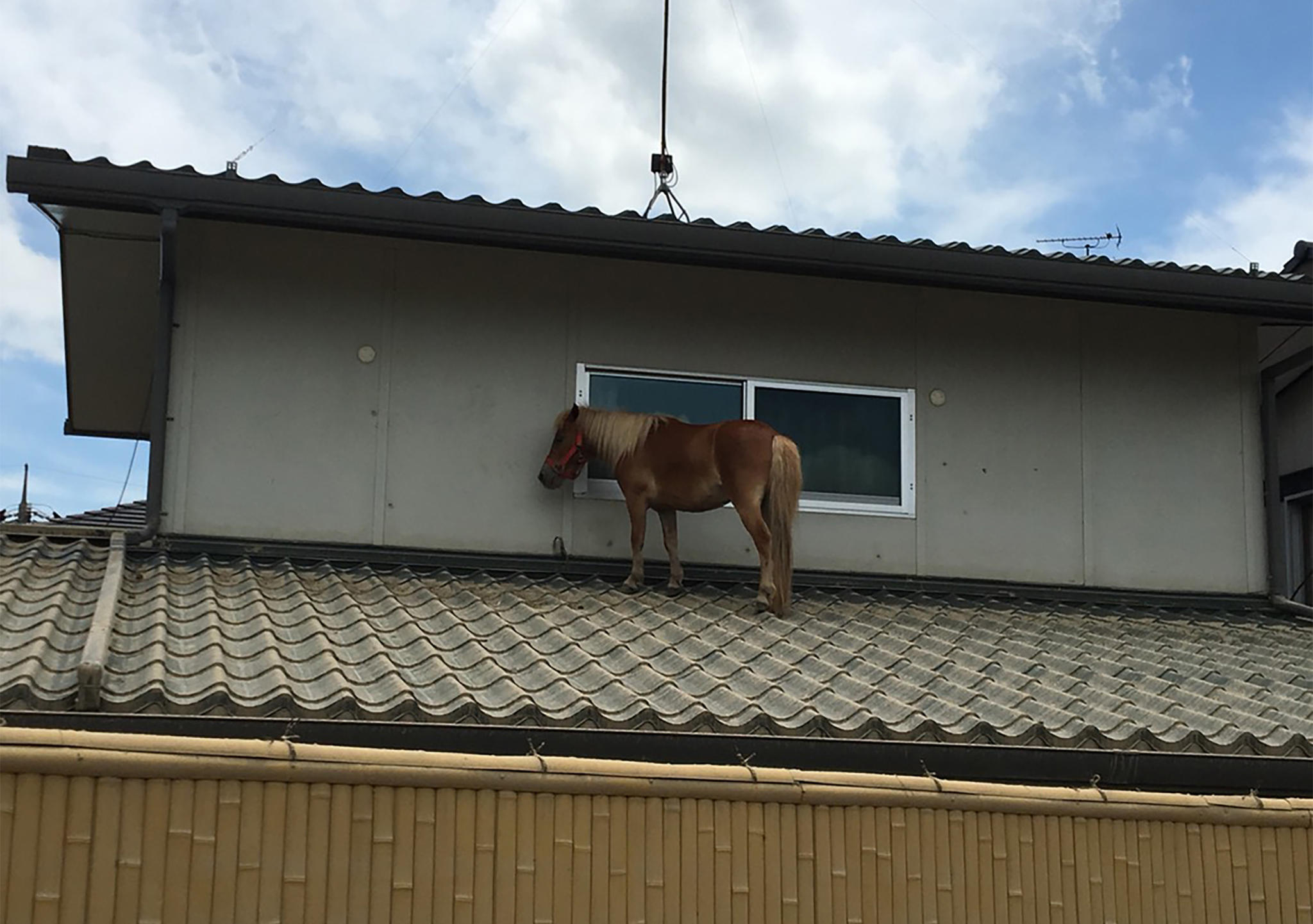 Wetterbilder des Tages Wetterbilder des Tages