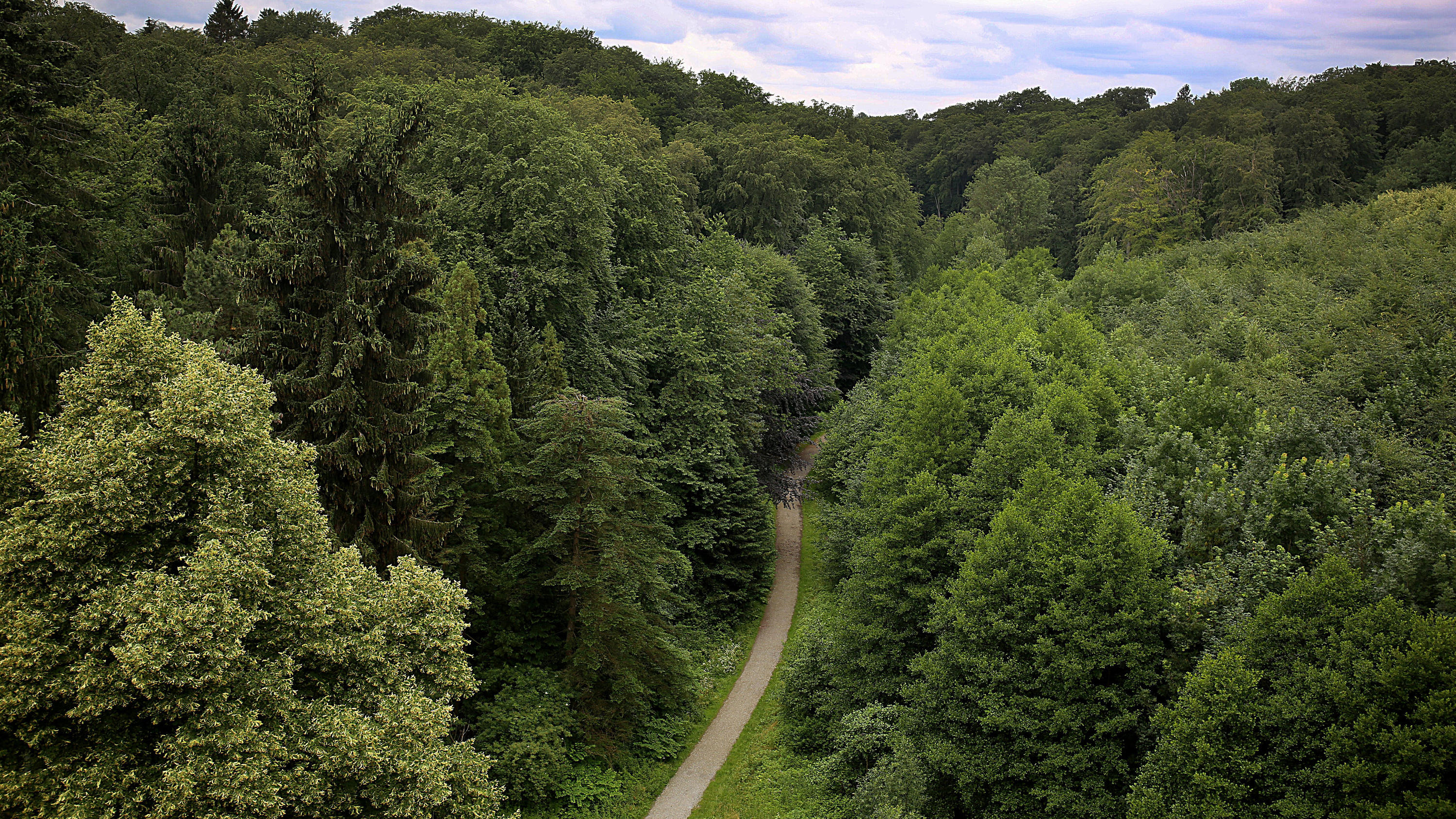 Velbert: 13-Jährige von Jugendlichen vergewaltigt – Opfer erkannte einen Peiniger bei Facebook 13.06.2018: Nordrhein-Westfalen, Velbert: Ein Weg führt durch einen Wald in der Nähe des Parkbades. Auf dem Weg nach Hause nach einem Freibadbesuch sollen mehrere Jungen eine 13-Jährige in einen Wald gezerrt und missbraucht haben. Foto: Oliver Berg/d