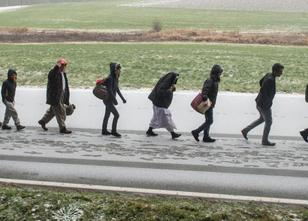 Die Zahl der Asylbewerber in Deutschland ist nach neuesten Daten im vergang... weiterlesen