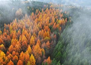Rund 4,1 Millionen Gäste besuchen jährlich den Thüringer Wald. Seit Jahren ... weiterlesen
