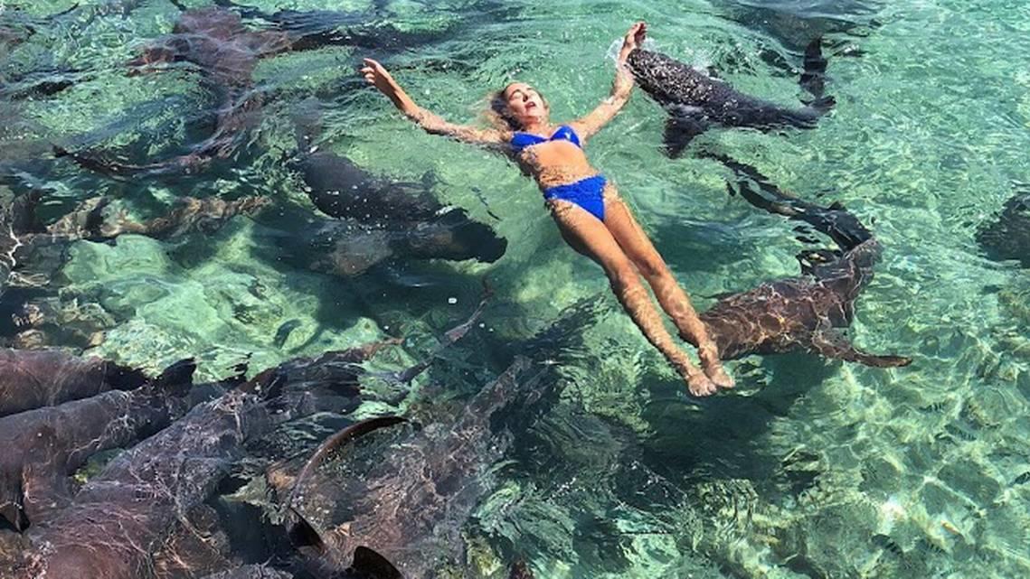 Instagram-Model Katarina Zarutski bei Shooting von Hai gebissen Katarina Zarutskie
