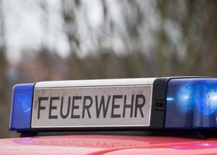 In einem Waldgebiet nahe Lübtheen (Landkreis Ludwigslust-Parchim) hat es ge... weiterlesen