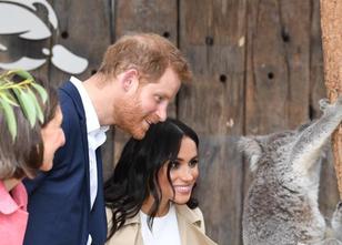 Immerhin zwei behalten an diesem Tag in Sydney ihre Fassung: In Australiens... weiterlesen