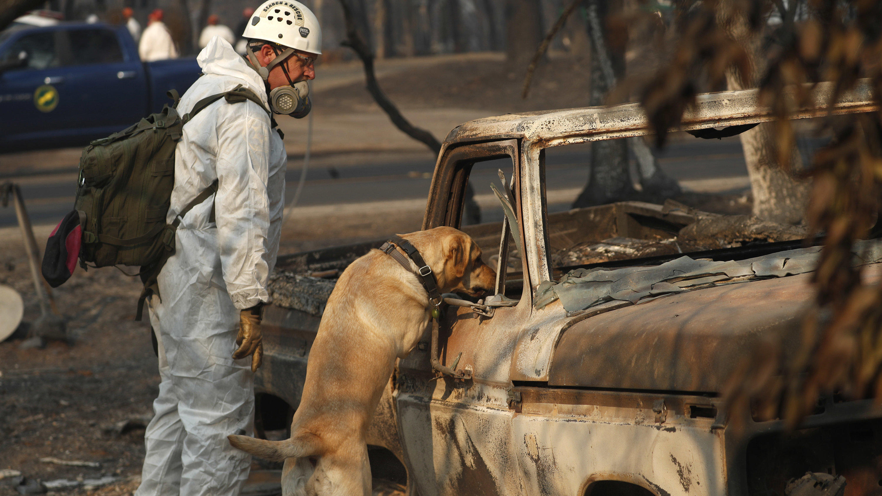 Kalifornien droht nach Bränden die nächste Katastrophe: Malibu rüstet sich gegen Fluten und Schlammlawinen 16.11.2018, USA, Paradise: Ein Mann sucht mit einem Rettungshund nach Opfern der Waldbrände. Foto: John Locher/AP/dpa +++ dpa-Bildfunk +++