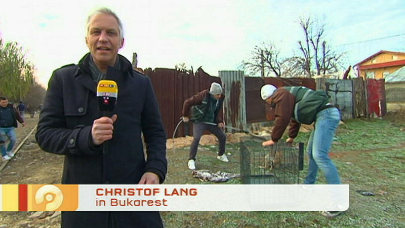 Straßenhund-Jagd in Rumänien: RTL-Reporter geht der Wahrheit auf den Grund In Rumänien werden Straßenhunde brutal gejagt. RTL-Reporter Christof Lang geht der Wahrheit auf den Grund.