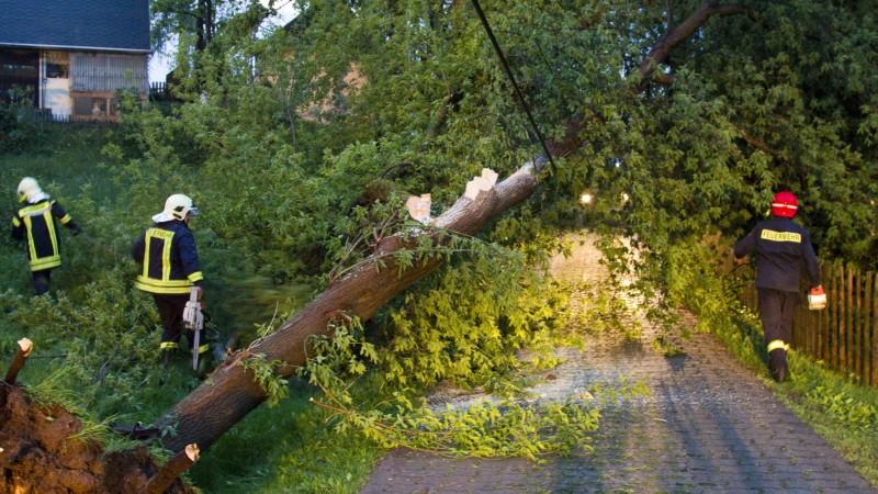 Sturmschäden: Wann haben Sie Anspruch auf Schadenersatz? Wer zahlt, wenn mein Eigentum durch Unwetter, Sturm und Hochwasser beschädigt wurde?