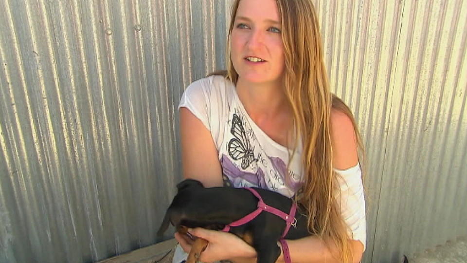 Tierpflegerin auf Mallorca: Sissy widmet Straßenhunden ihr ganzes Leben Tierheim Mallorca