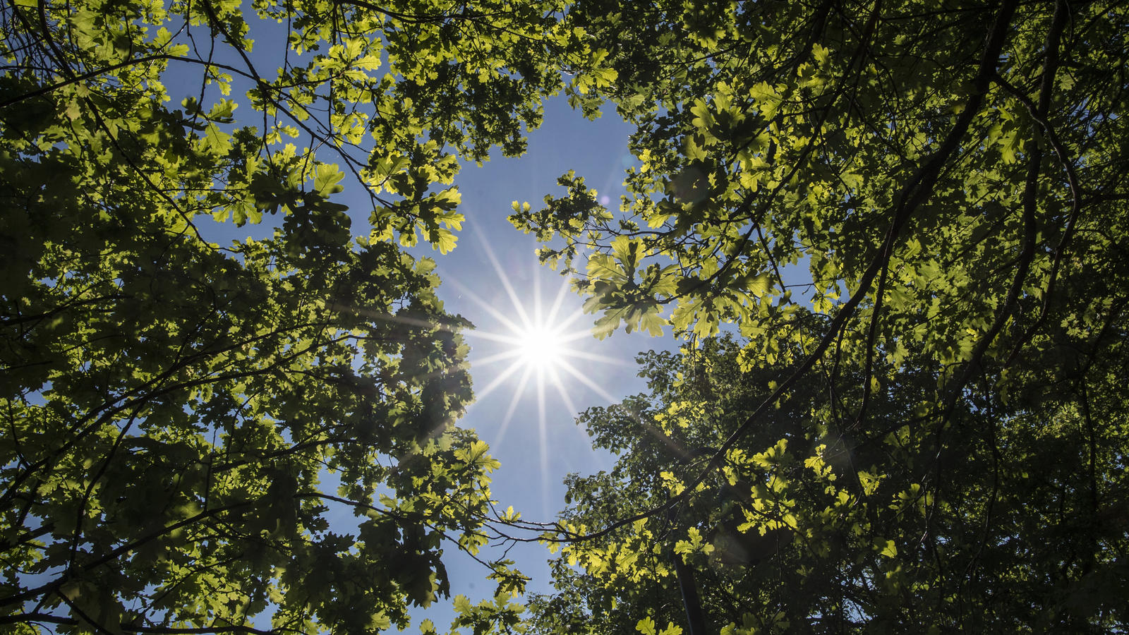 Wetterbericht für Deutschland für den 20.05.2017: Es lockert überall auf Wetterbericht für Deutschland für den 20.05.2017: Es lockert überall auf