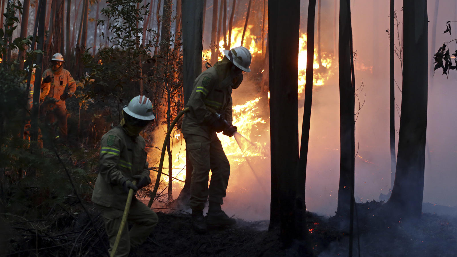 Mehr als 60 Tote nach Waldbrand in Portugal: Flammen fressen sich weiter vorwärts Feuerwehrleute der Republikanische Nationalgarde versuchen am 18.06.2017 in Avelar (Portugal) einen Waldbrand zu löschen. Bei einem verheerenden Waldbrand im Zentrum von Portugal ist die Zahl der Todesopfer auf 39 gestiegen. (zu dpa «Waldbrand in Por