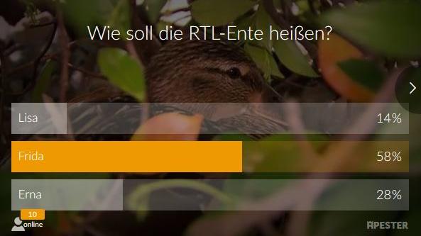 Sie haben entschieden: So heißt die RTL-Ente! Voting-Ergebnis RTL-Ente