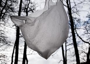 Im Kampf gegen Plastikmüll fordert die Europäische Kommission von der Bunde... weiterlesen