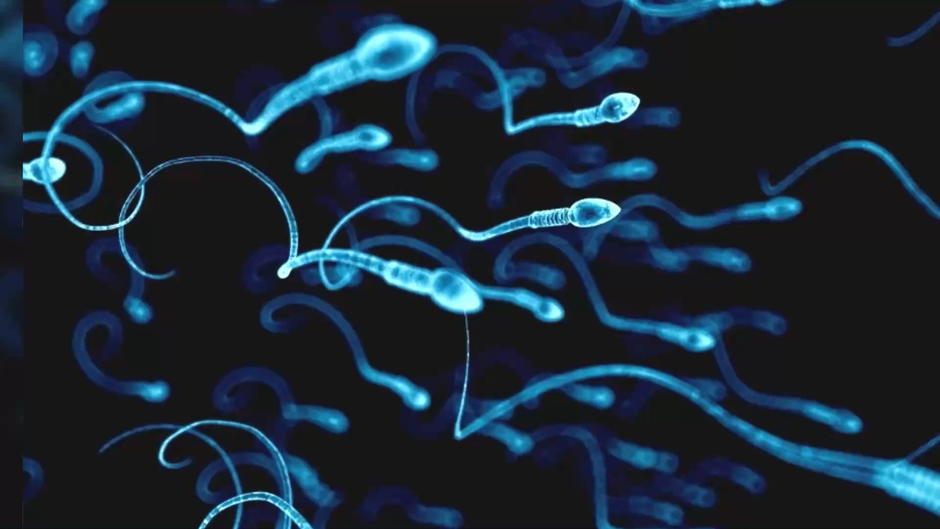 Und, wie alt ist IHR Sperma? Und, wie alt ist IHR Sperma?