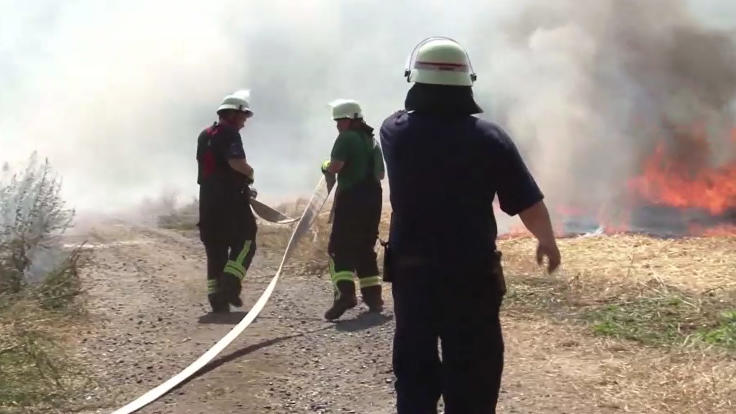 So geht die Feuerwehr im Falle eines Waldbrands vor So geht die Feuerwehr im Falle eines Waldbrands vor