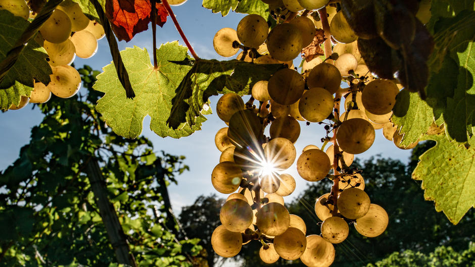 Der Wetterbericht für den 26.09.2018 Der Wetterbericht für den 26.09.2018