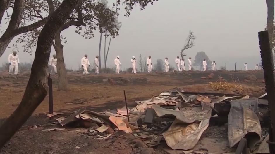 Brände in Kalifornien: Die Zahl der Opfer steigt Brände in Kalifornien: Die Zahl der Opfer steigt