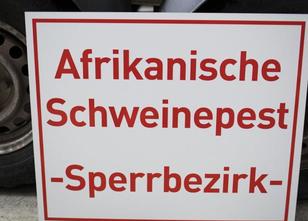 braut stirbt bei junggesellinnenabschied schult 252 te f 252 llen zehn sch 246 ne ideen f 252 r schulanf 228 nger braut stirbt bei junggesellinnenabschied schult 252 te f 252 llen zehn sch 246 ne ideen f 252 r schulanf 228 nger